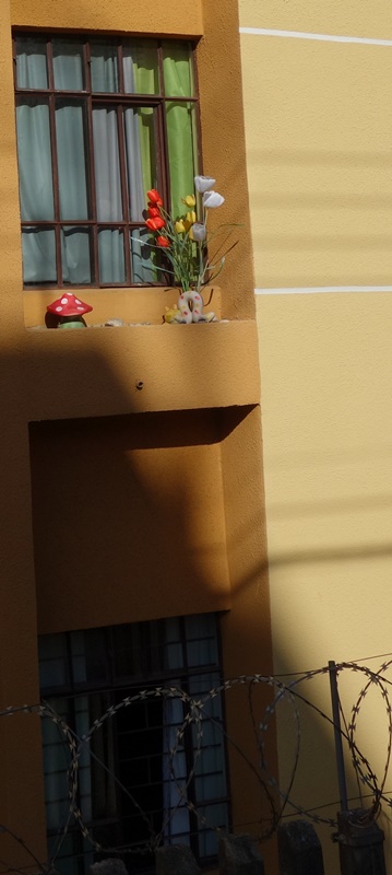 florplastico3 flor